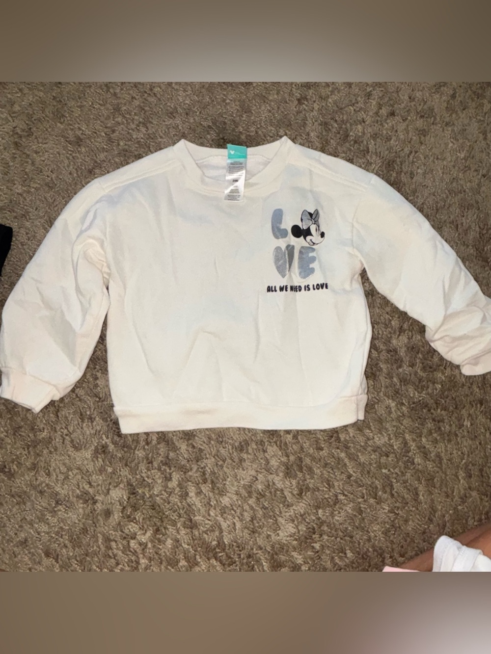 24M Minnie Mouse Sweatshirt